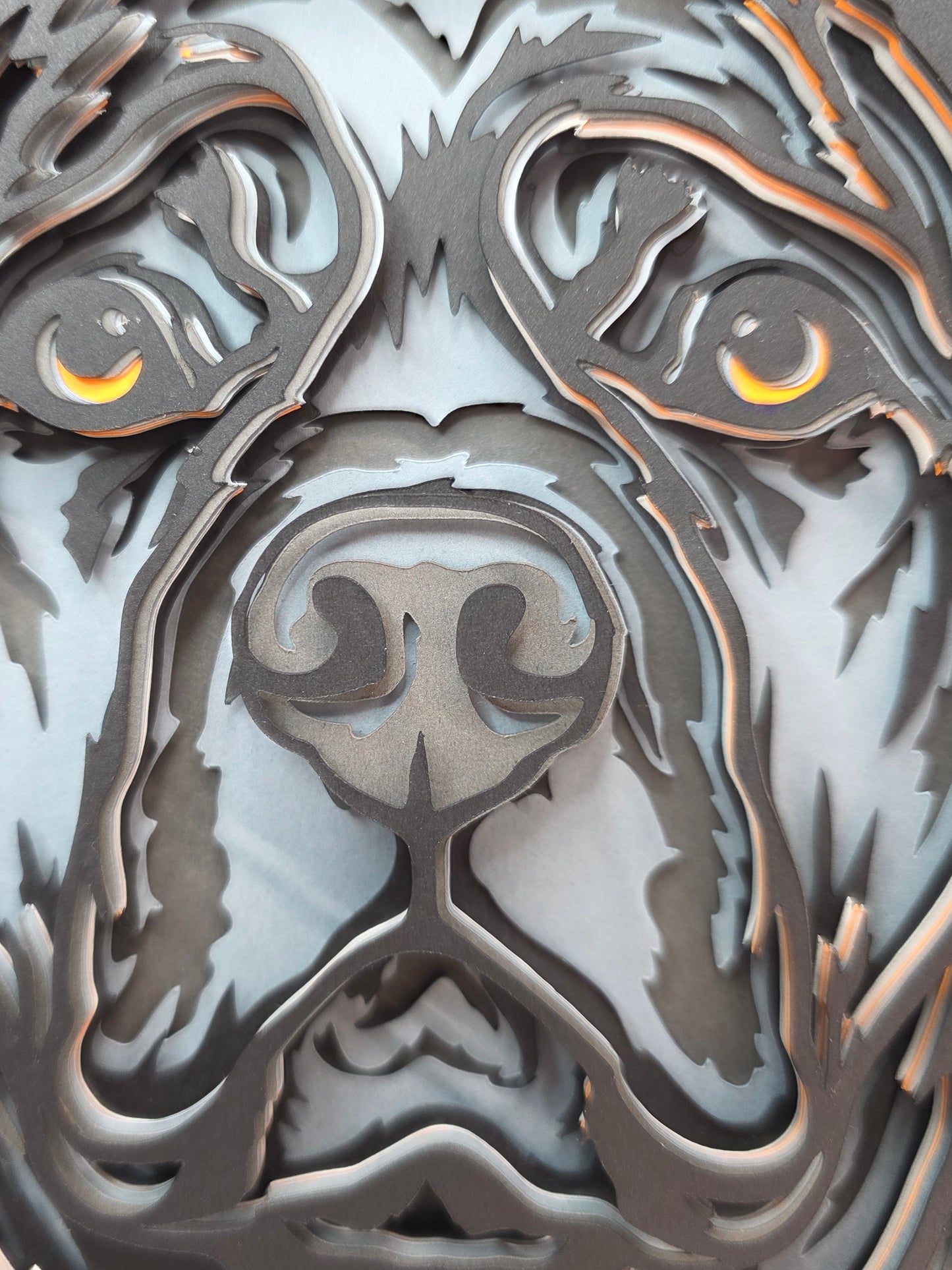 Cane Corso