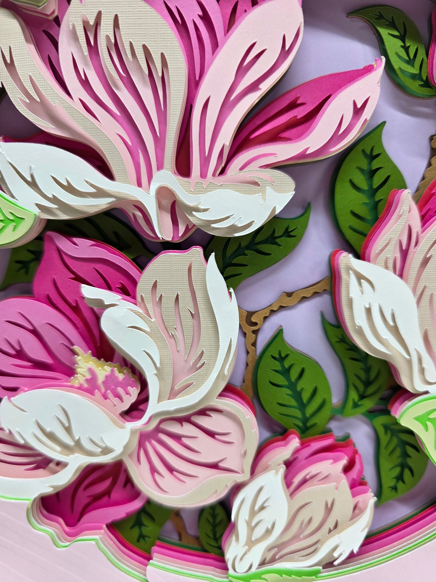 Magnolia