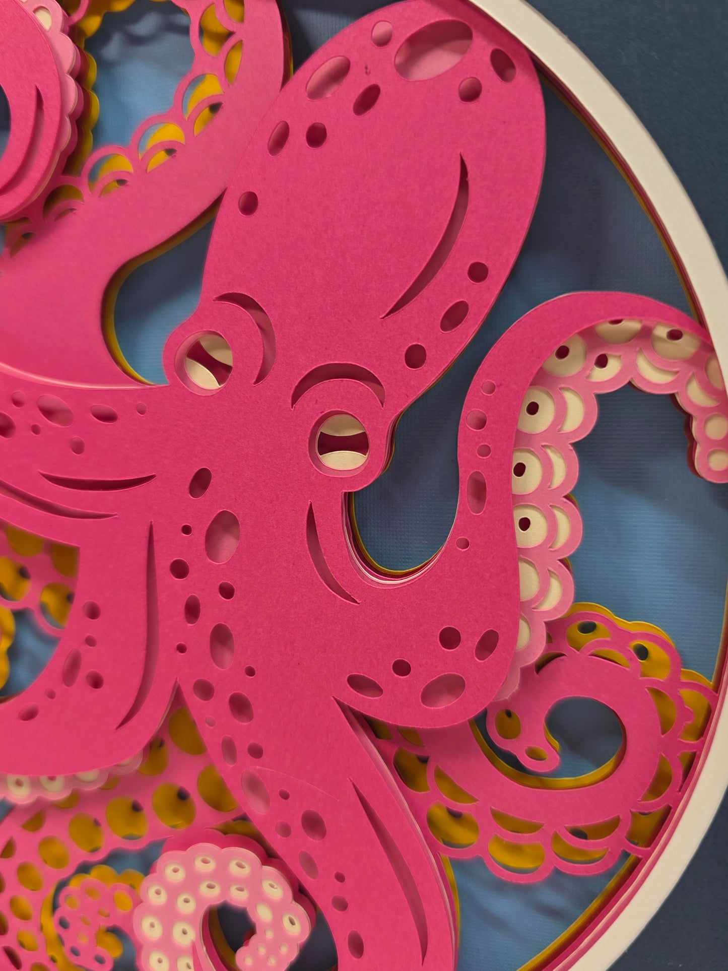 Octopus