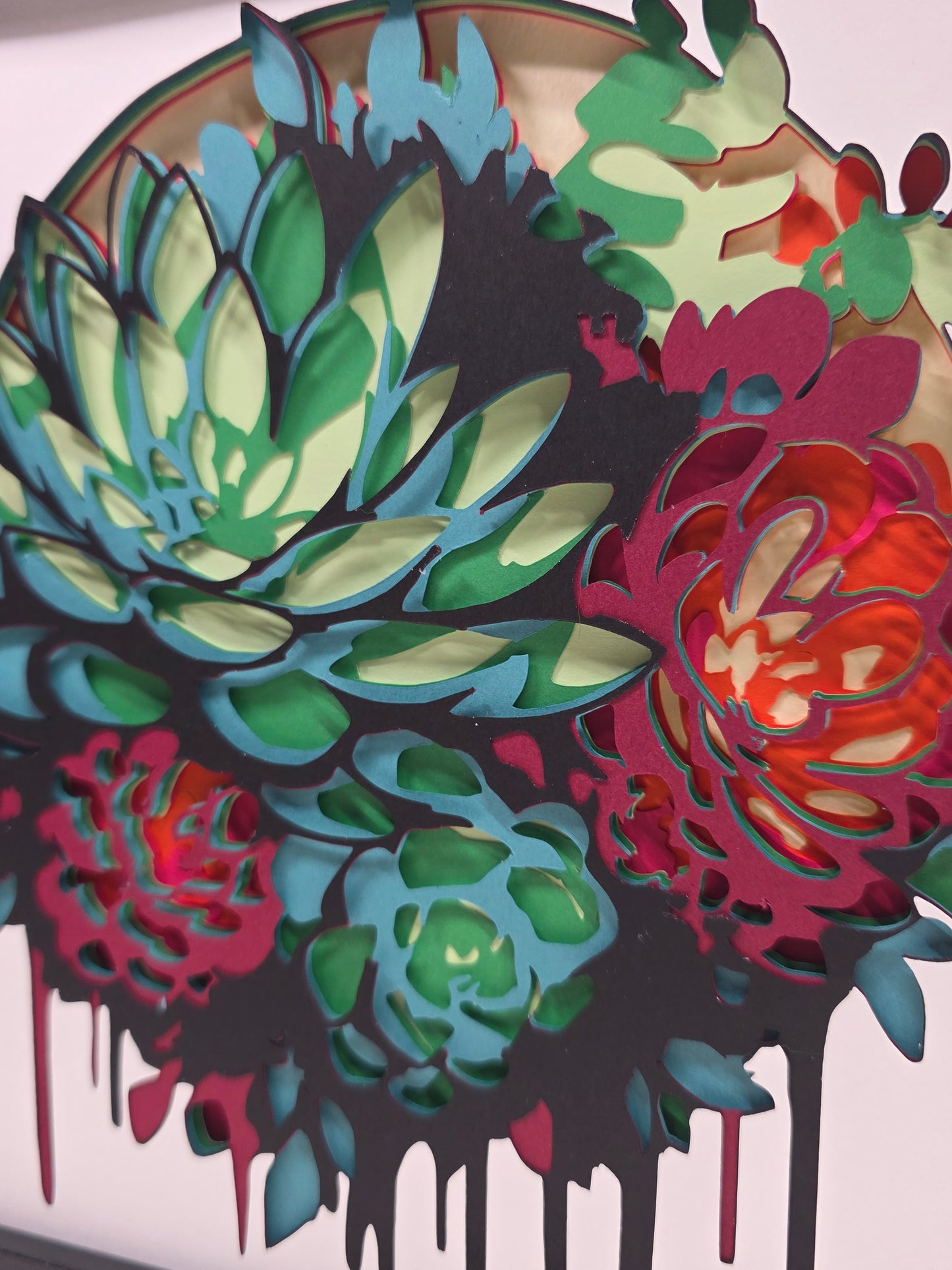 Succulent Plant