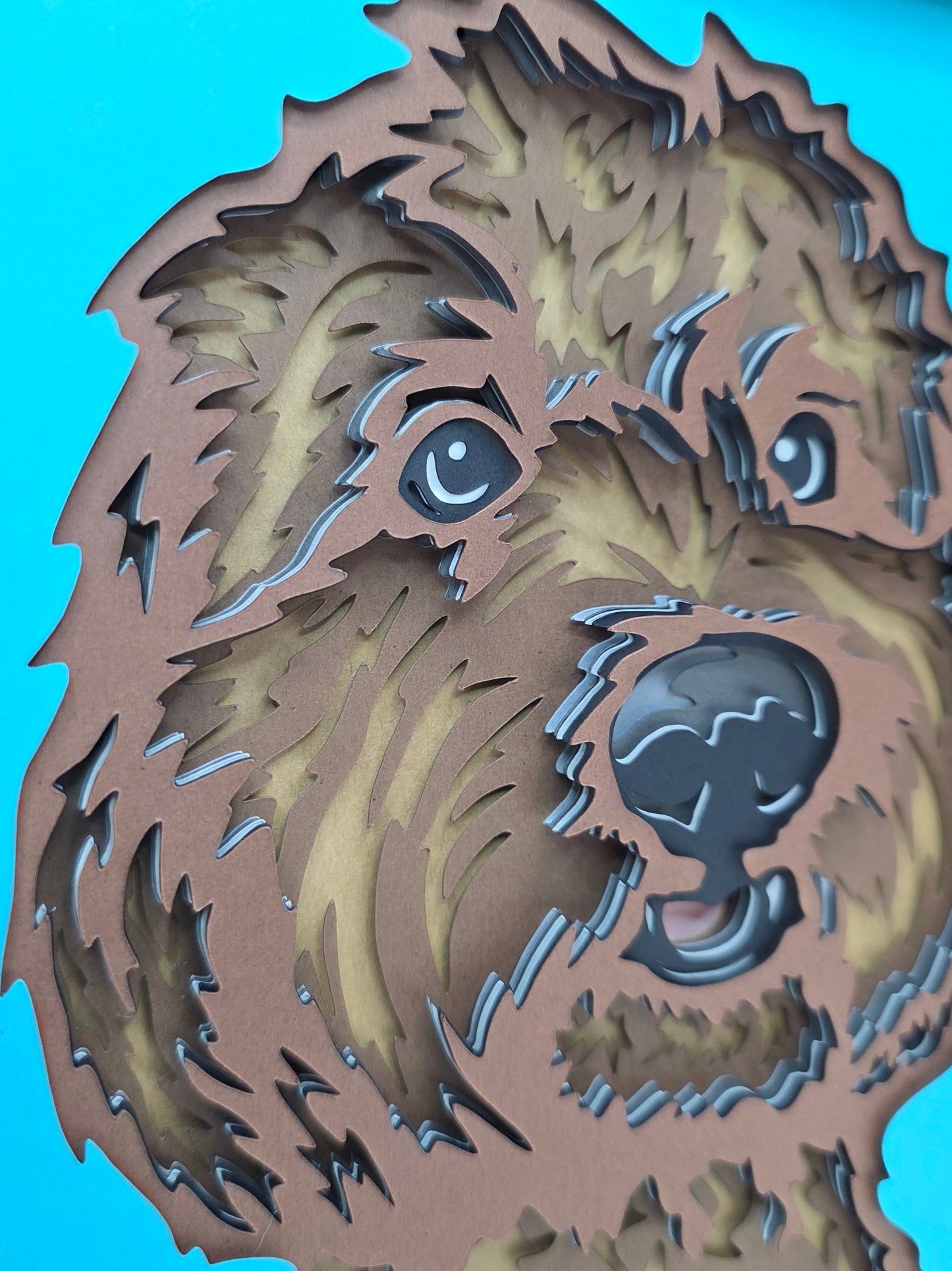 Labradoodle