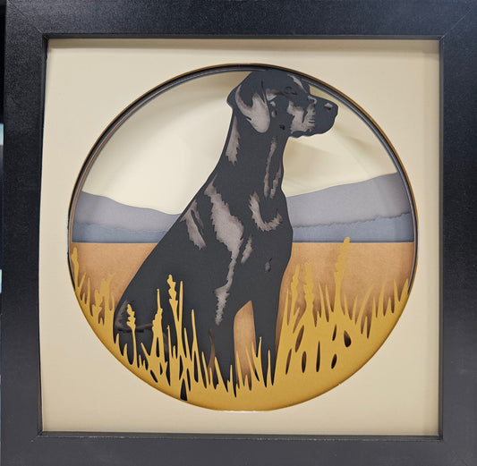 Black Labrador Retriever