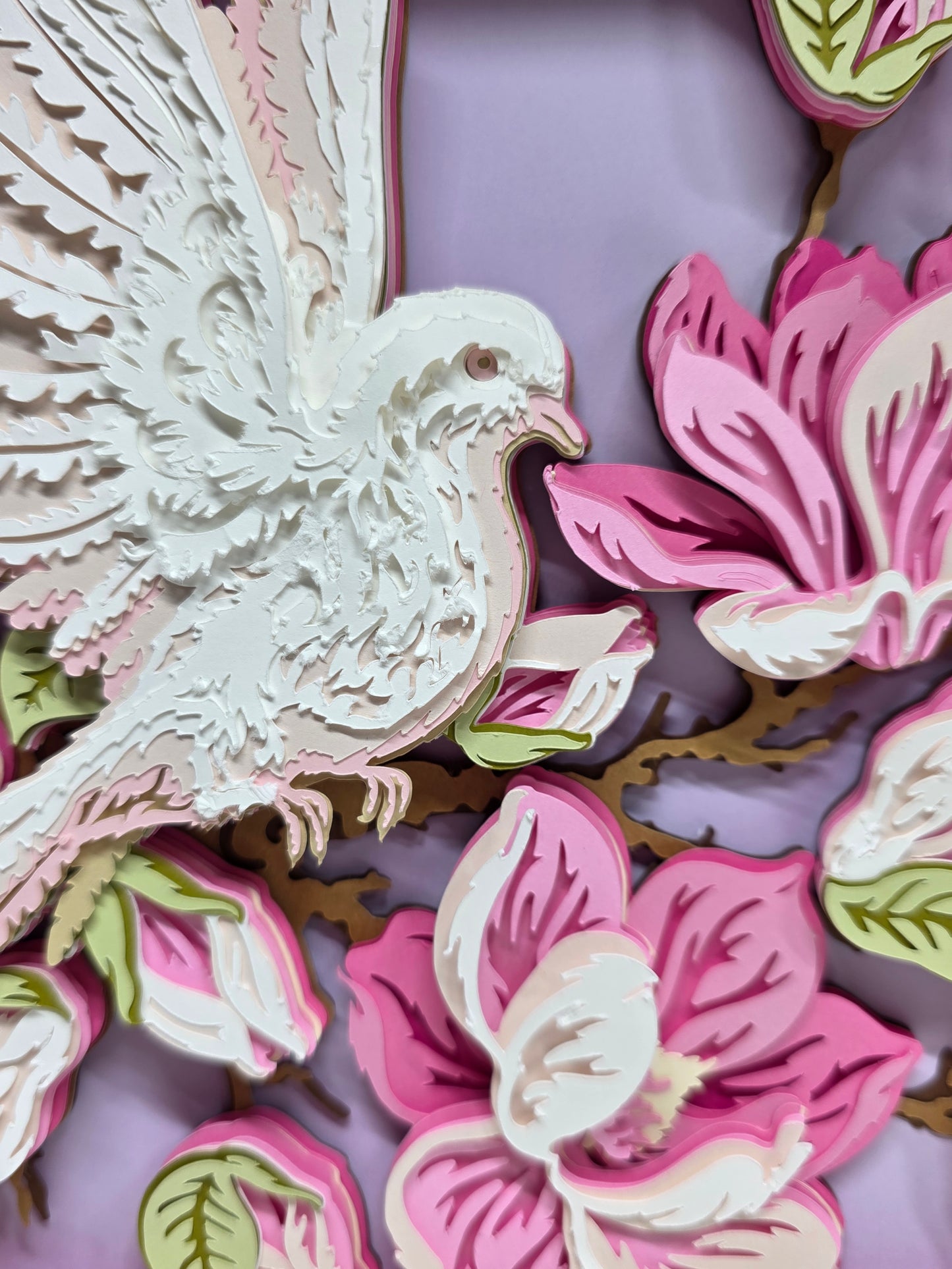 Dove & Magnolia's