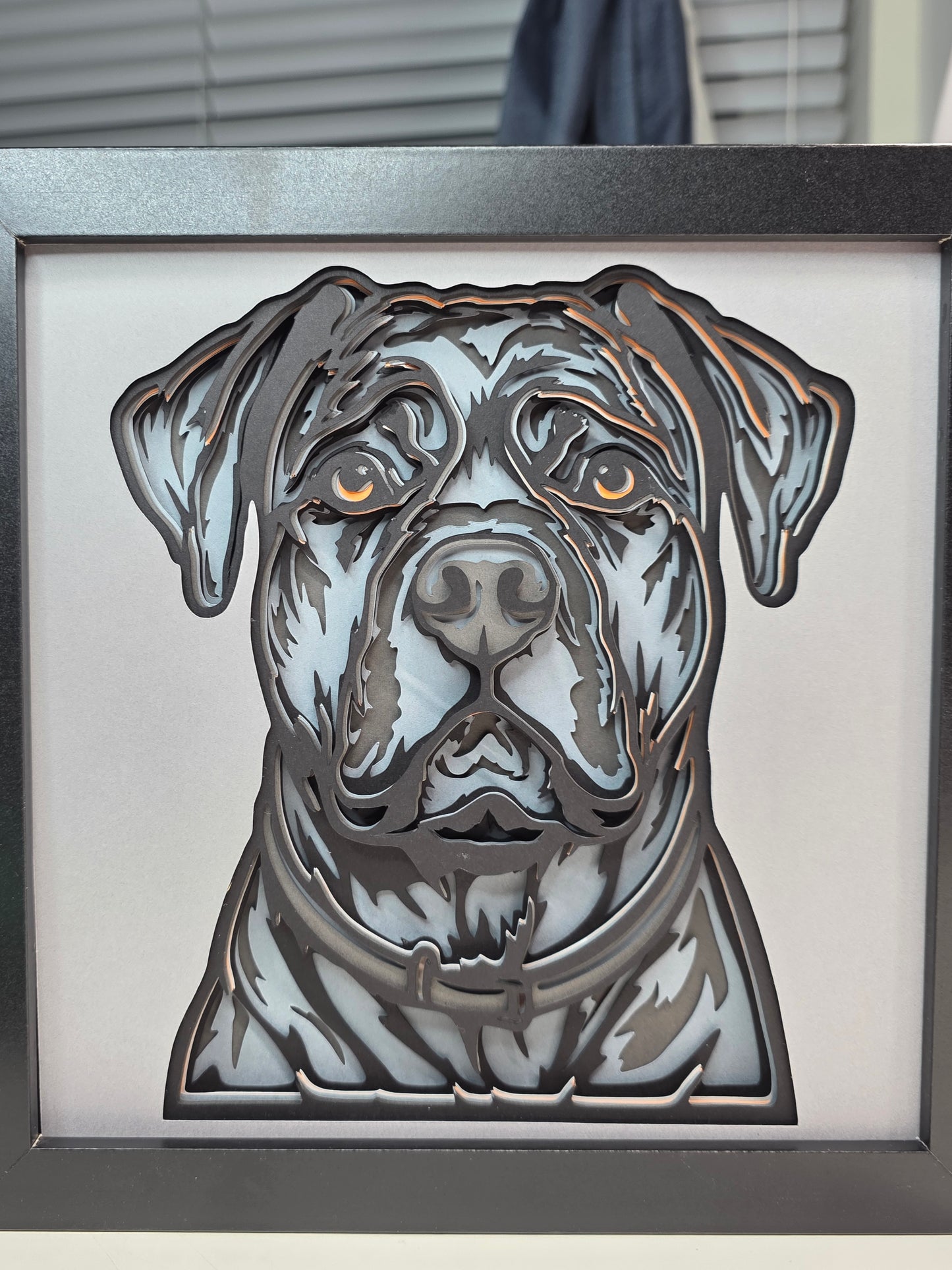 Cane Corso